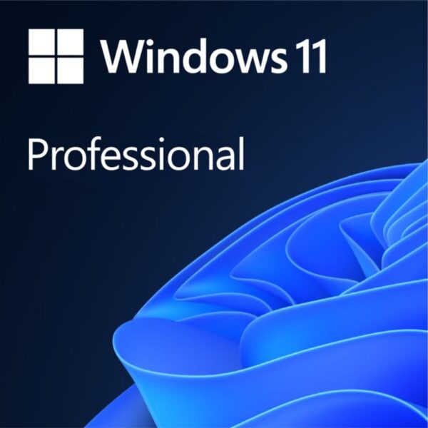 Microsoft Windows 11 Professional ESD 32/64 bit